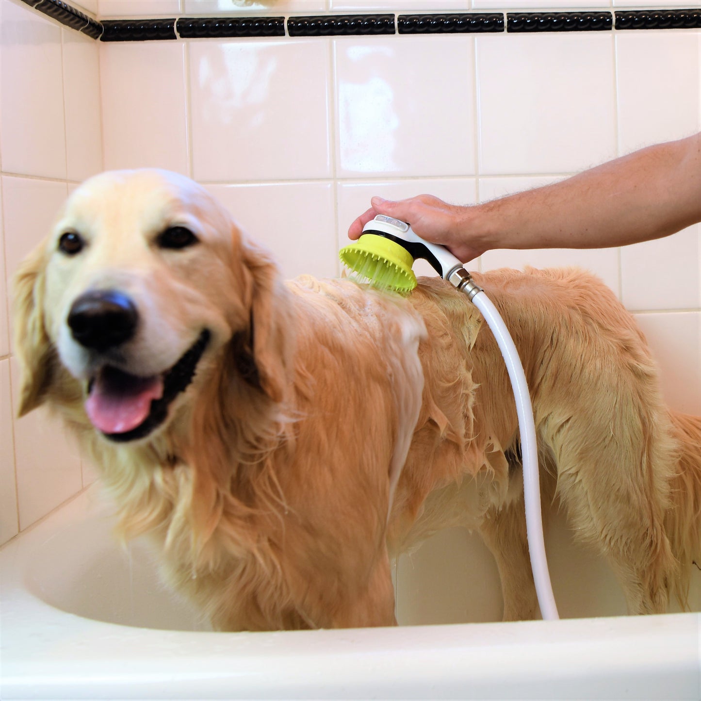 Wondurdog LARGE SIZED Bathtub Spout and Garden Hose Attachment Dog Wash Kit w/Splash Shield and Rubber Scrubbing Teeth. Tub Spouts with Front Pull Up Diverter Only. Spout Height 2.75" - 3.20".