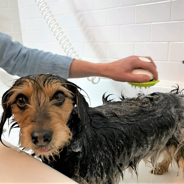 Wondurdog Dog Wash Attachment for Handheld Showers and Garden Hose Attachment