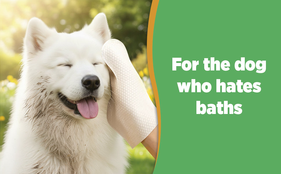 36pc. Premium Pet Glove Cleaning Wipes for Dogs & Cats | Textured, Deodorizing & Hypoallergenic Gloves with Aloe Vera & Shea Butter – Gentle, Skin-Safe Wipes for Fur, Face & Body, Odor Control