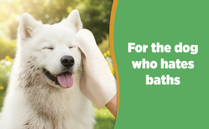 36pc. Premium Pet Glove Cleaning Wipes for Dogs & Cats | Textured, Deodorizing & Hypoallergenic Gloves with Aloe Vera & Shea Butter – Gentle, Skin-Safe Wipes for Fur, Face & Body, Odor Control