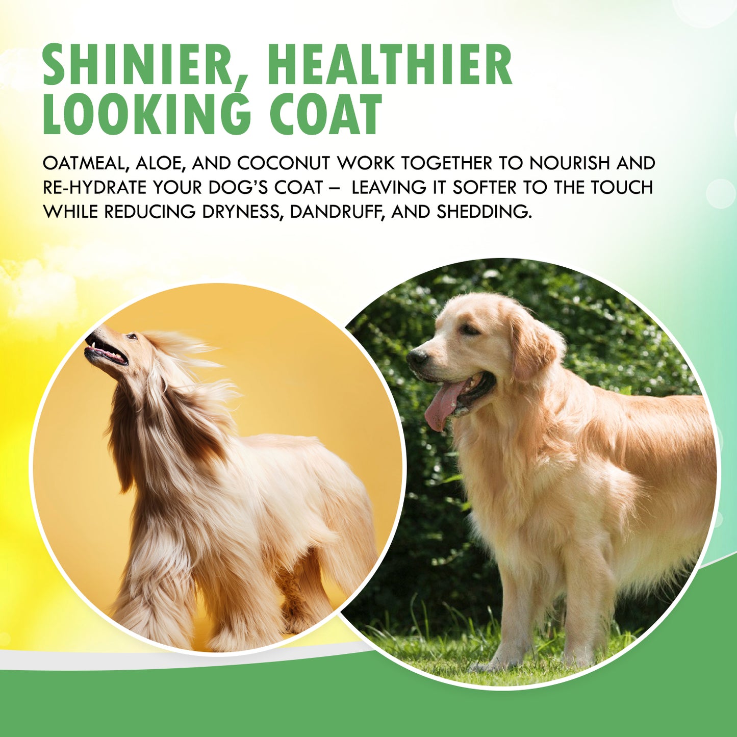 Wondurdog Fur Foam Dog Shampoo with Oatmeal, Coconut, Aloe and Cucumber
