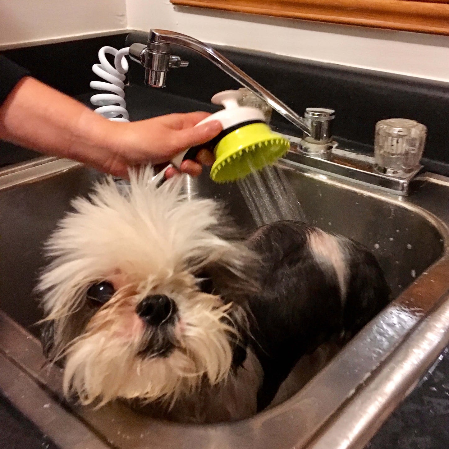 Wondurdog Sink Faucet Pet Wash Kit with Faucet Adapters and Garden Hose Attachment