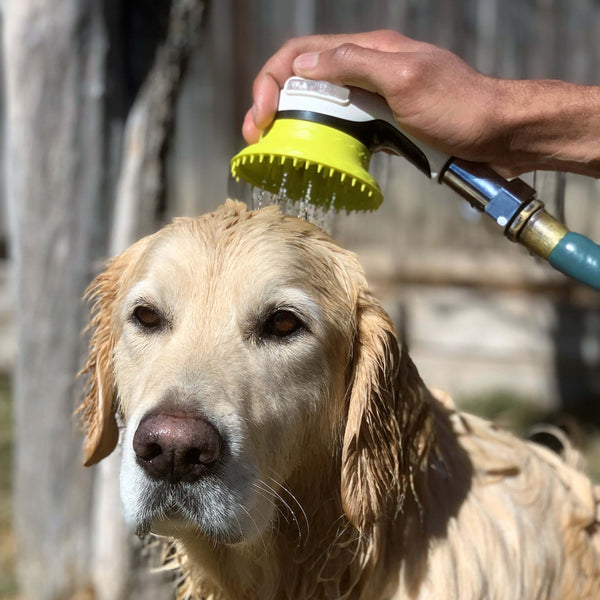 Wondurdog Dog Wash Garden Hose Nozzle. Splash Shield Handle and Rubber Grooming Teeth with Metal Connector and Water Pressure Control.