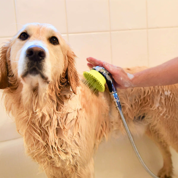 Wondurdog Deluxe Indoor / Outdoor Dog Wash Kit for Shower and Garden Hose with Water Pressure Control